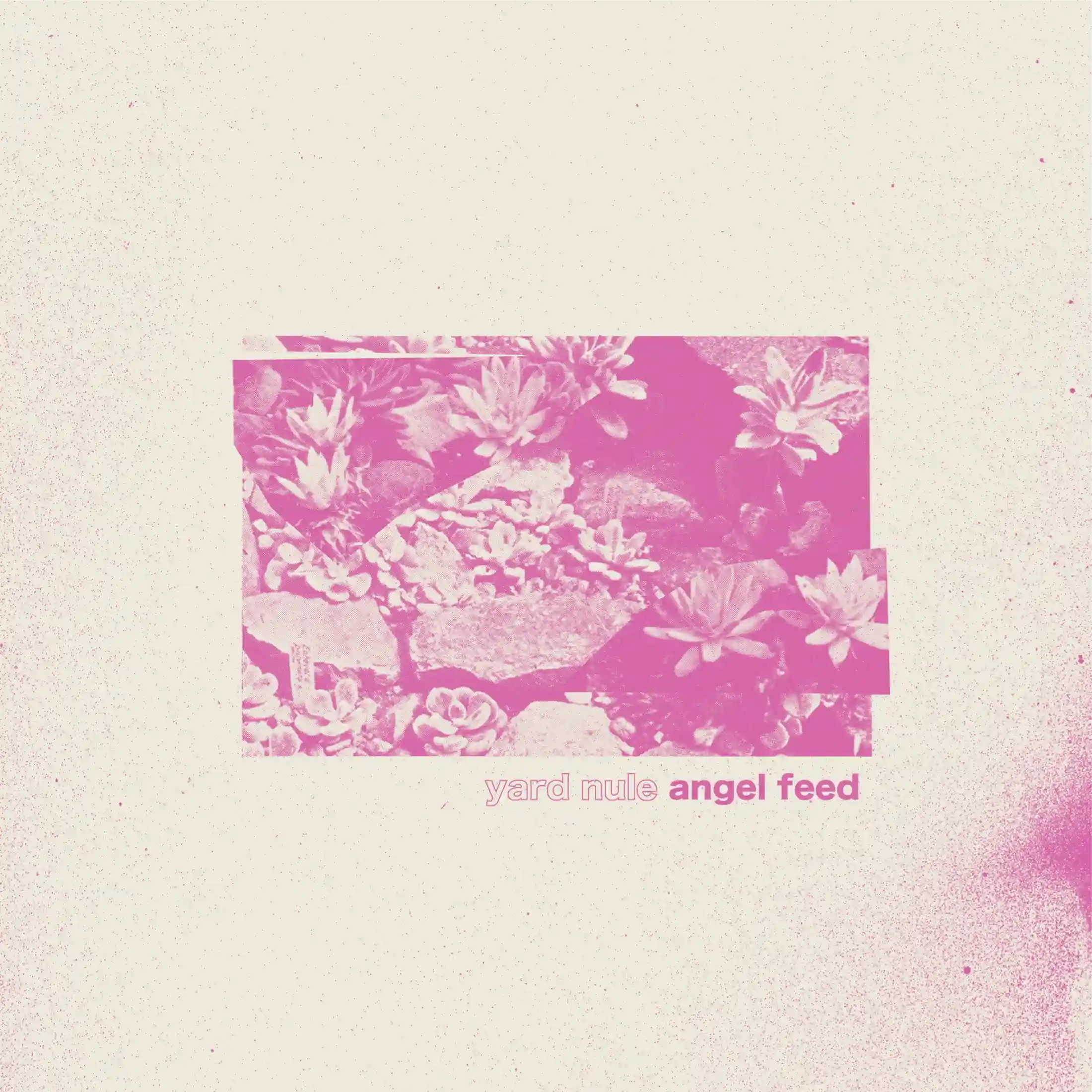 Yard Nule - Angel Feed